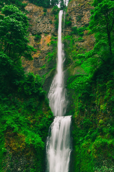 green waters by Snjezana