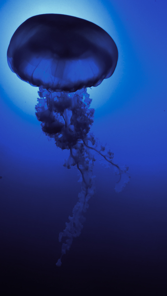 Warm Waters by Snjezana