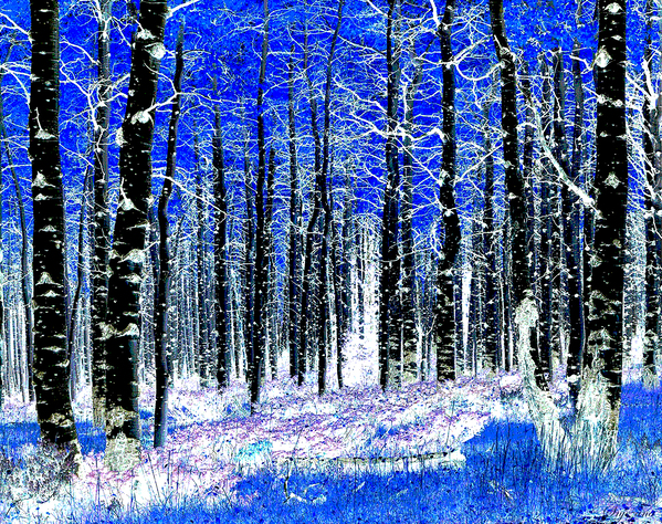 blue winter by Snjezana