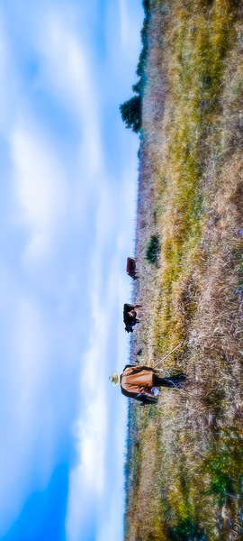 fields of life by Snjezana