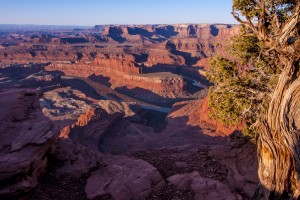 Dead Horse Point Sunrise - Utah