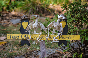 old crows halloween hillcrest louisville