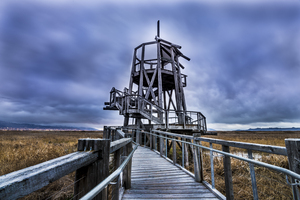 Observation Tower - Great Salt Lake Shorelands Preserve