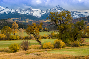 Sneffels Fall Cattle Ranch - Ridgway - Colorado