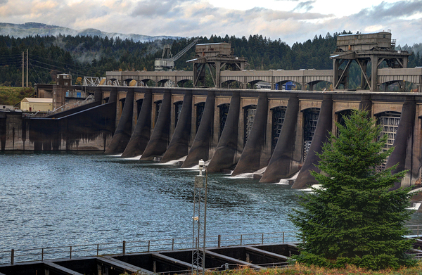 Bonneville Dam - Columbia River - Oregon Print