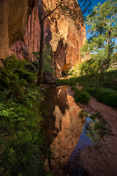 Coyote Gulch Canyon Reflection - Utah by Gary Whitton