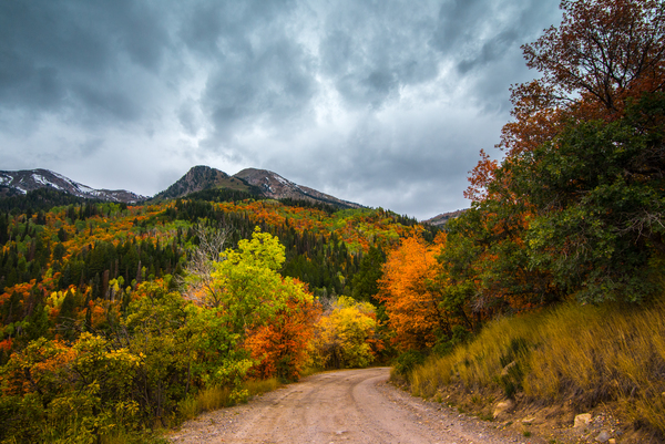Fall - Silver Lake Road - American Fork Canyon by Gary Whitton