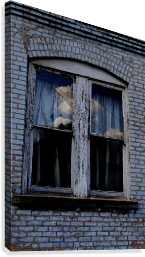 Window Through Canvas Print