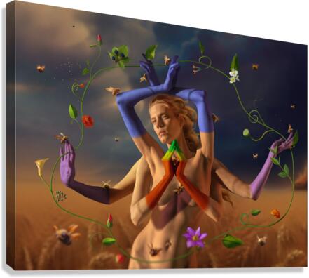 another level Canvas Print
