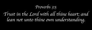 Proverbs 3:5 Panoramic Black