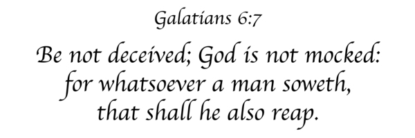 Galatians 6:7 Panoramic White by Artistic Bible