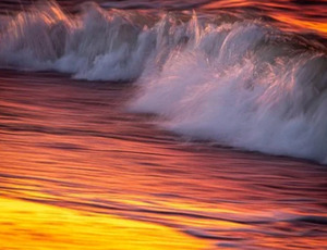 Waves Print