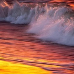 Waves