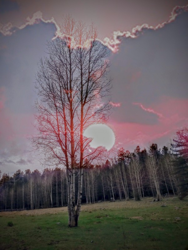 ASPEN in May by Designbyalexander