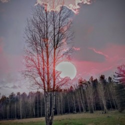 ASPEN in May
