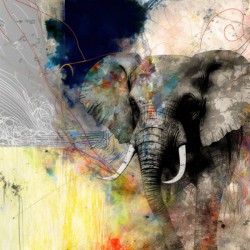 Elephant artistic artwork