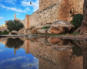 Tower of David - reflection