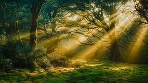 Abstract Nature Canvas Print - Modern Wall Art with Vibrant Colors & Dynamic Shapes