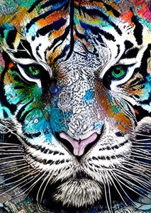 172198CF 7242 491B B483 9A37BB5340CE