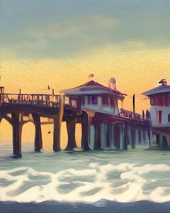 Naples Pier Waves Motion