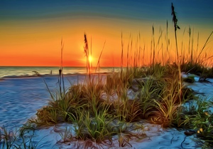 Naples Beach Seagrass View