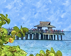 Turtles View Naples Pier