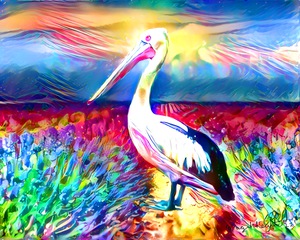 Paradise Pelican