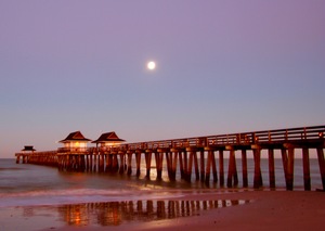 39A95465 DDC8 47AF 87E9 BC149CB6F46F