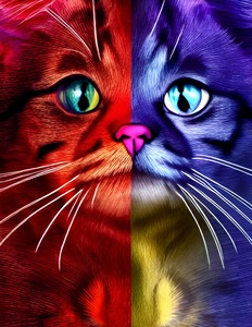 39EB58E8 80DF 4F64 8D1D CBC8528794C6