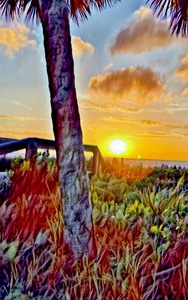 Lowdermilk Park Sunset 