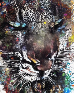 3AF0C907 B1BE 455A 9930 D273E35FC306