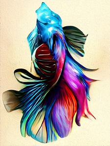 3D3236D8 FF99 495D 875A F3815C08D3B2