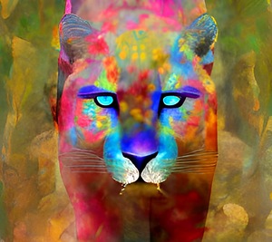 433EAE2C B4E8 49D6 8B15 0BF0118ED813