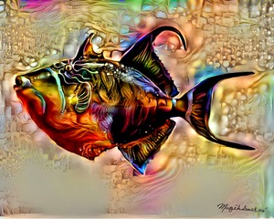 Trigger Fish