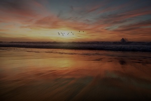 464C0D27 62C5 4BD8 8CDA CAA69BCA41FF