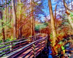 Corkscrew Sanctuary Boardwalk