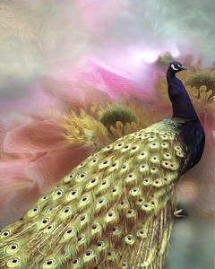 62D6BD45 BAC3 4609 9903 627048760705