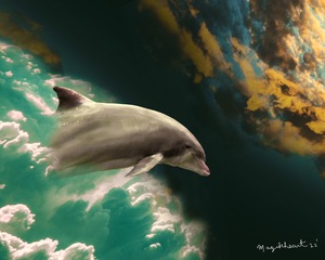 Global Dolphin