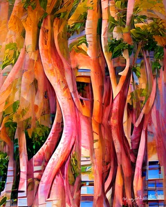 Naples Abstract Banyan Tree