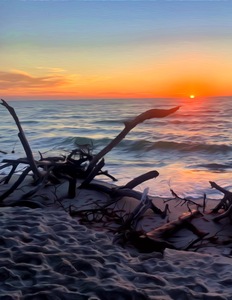 705E1CD2 32C1 4C81 B38C 6B5C128BACB5