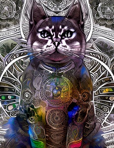 7D138F20 A514 4881 8620 D14C0776E39E