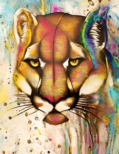 7EBF5358 5E4C 4FE4 AAF8 0C194ACC5C94