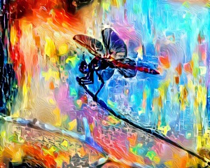 The Chakra Dragonfly Pole Vaulter