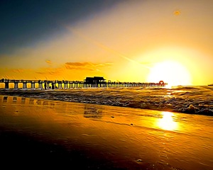 99E91120 BF9D 468E ADBC BBE84E46E02E