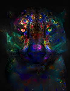 9CB9D603 F87F 4B8D 8F1A FF8704536B95