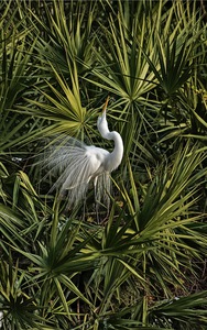 A2B44E6A 4382 4BE3 8035 0907DBD1557A