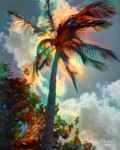 Naples Beach Palm Tree Beauty 