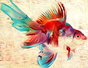 AA16C865 4976 4B38 B678 F144C5F19D51