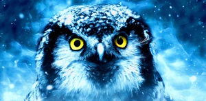 AA92F824 BBCA 4A51 8CCE B2405C239B41