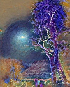 Lunar Night Botanical Gardens